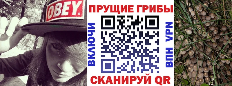 Галлюциногенные грибы GOLDEN TEACHER купить цена мега зеркало Катайск