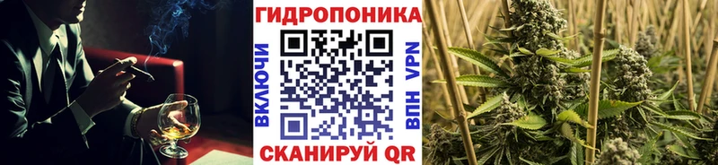 блэк спрут ссылки  Катайск  МАРИХУАНА Amnesia 